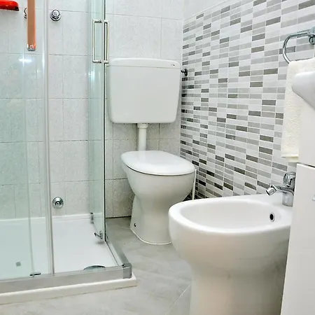 Biloba-gemini Daire *