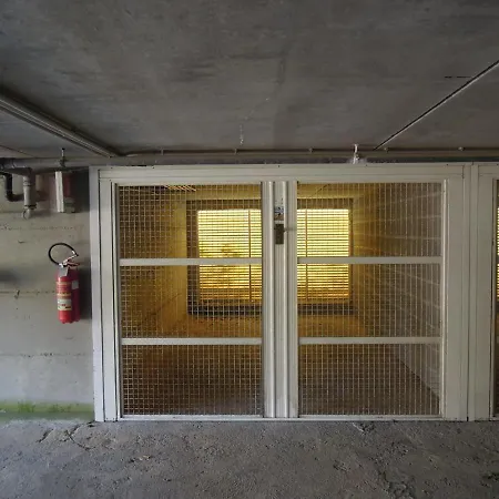 Biloba-gemini Daire *