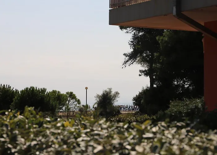 Biloba-gemini * Bibione